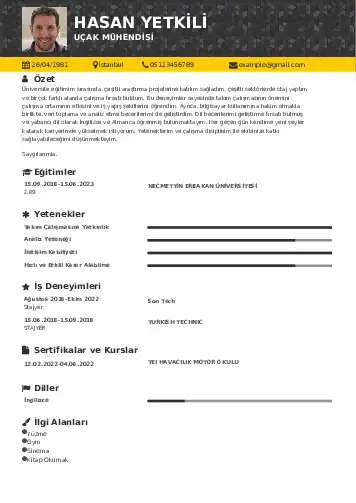 Havacılık Ve Uzay Uçak Mühendisi Cv Örnekleri cv indir